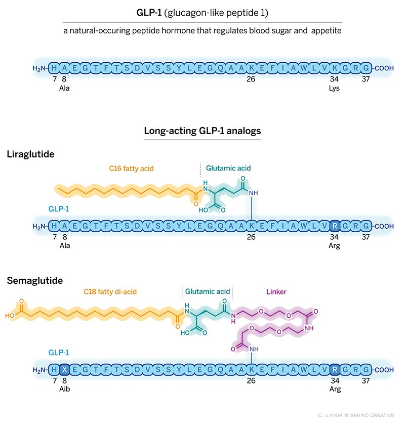 Semaglutide