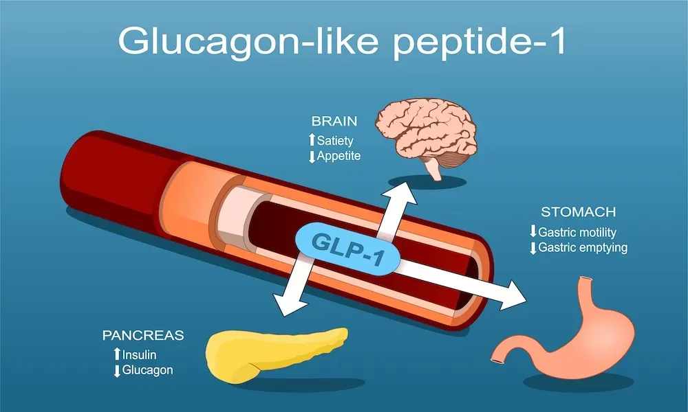 GLP-1 