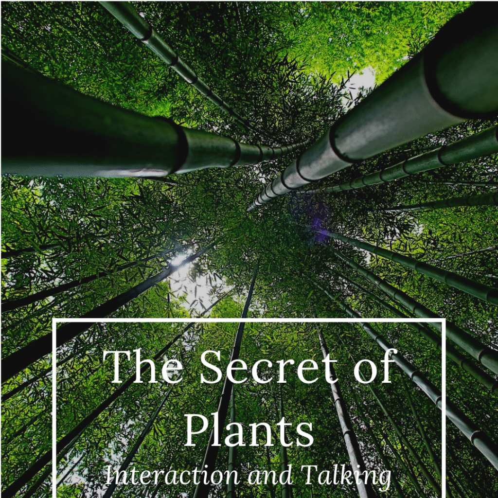 Plant Interaction